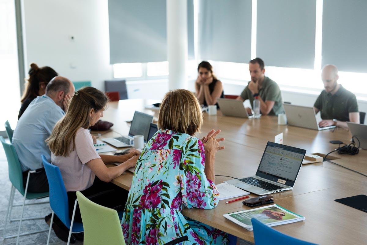 travail bureau collegues mutulites libres